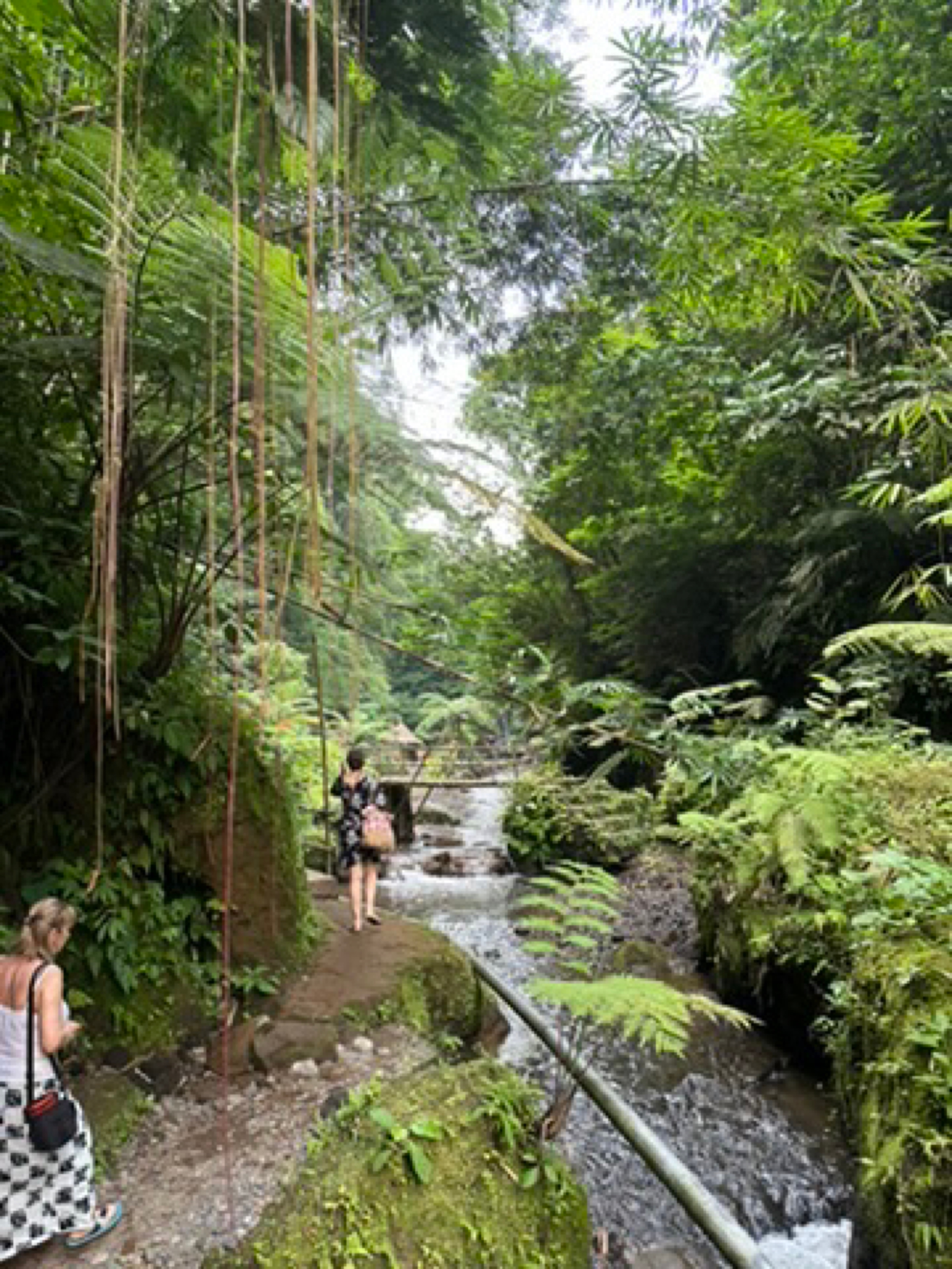 Place context - Yeh Bulan Waterfall