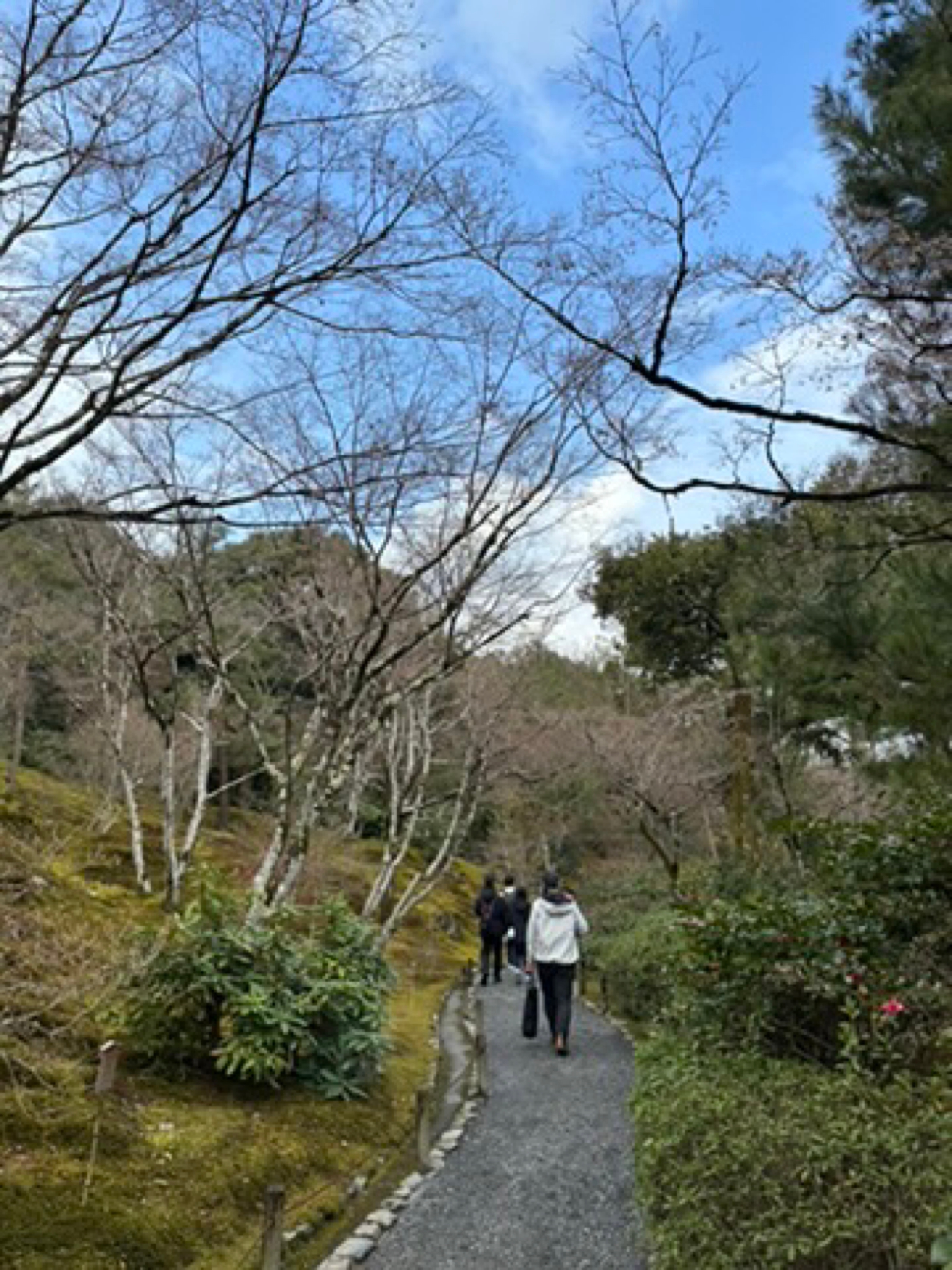 Place context - Arashiyama Bamboo Forest