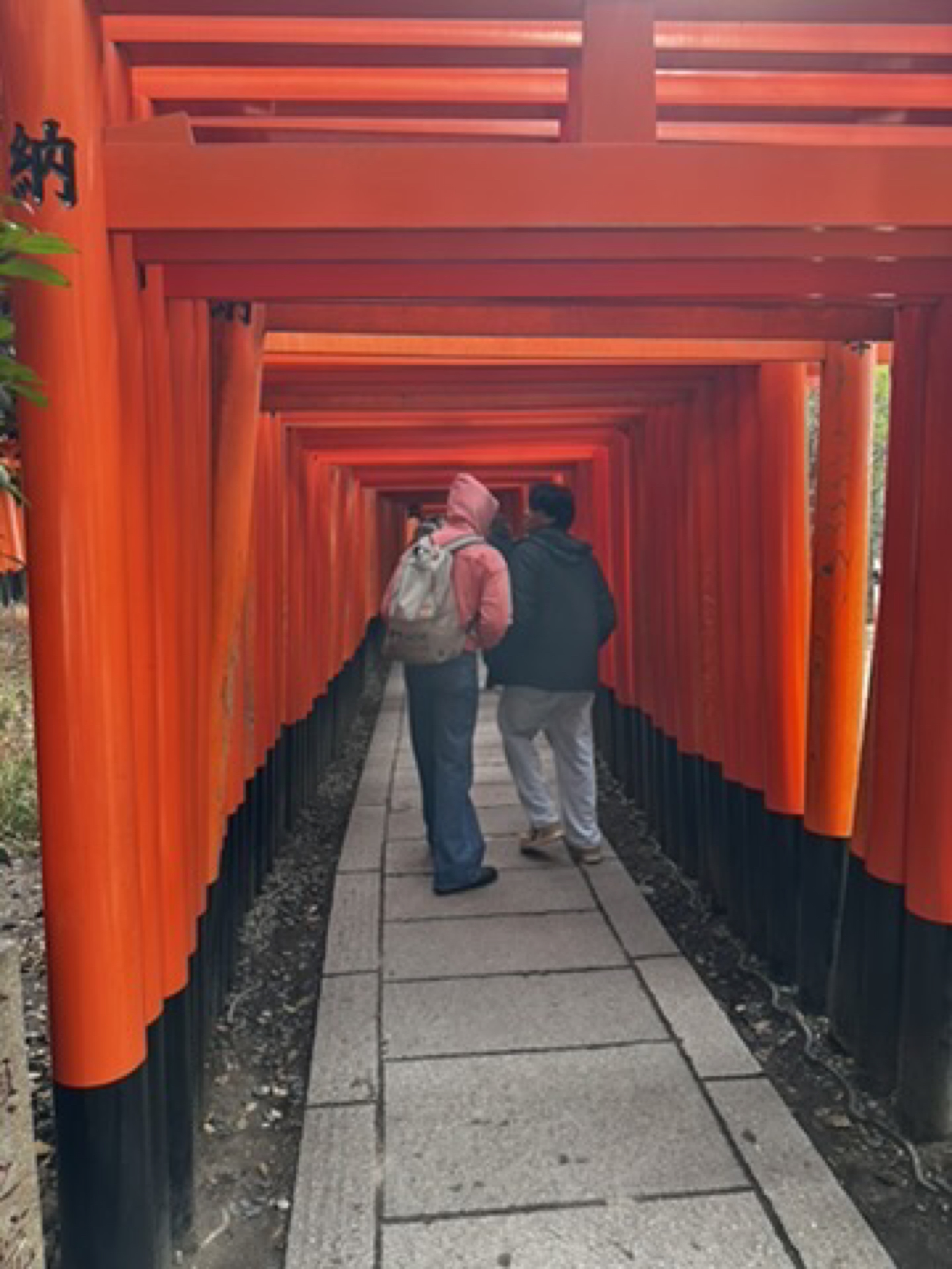 Place context - Fushimi Inari Taisha