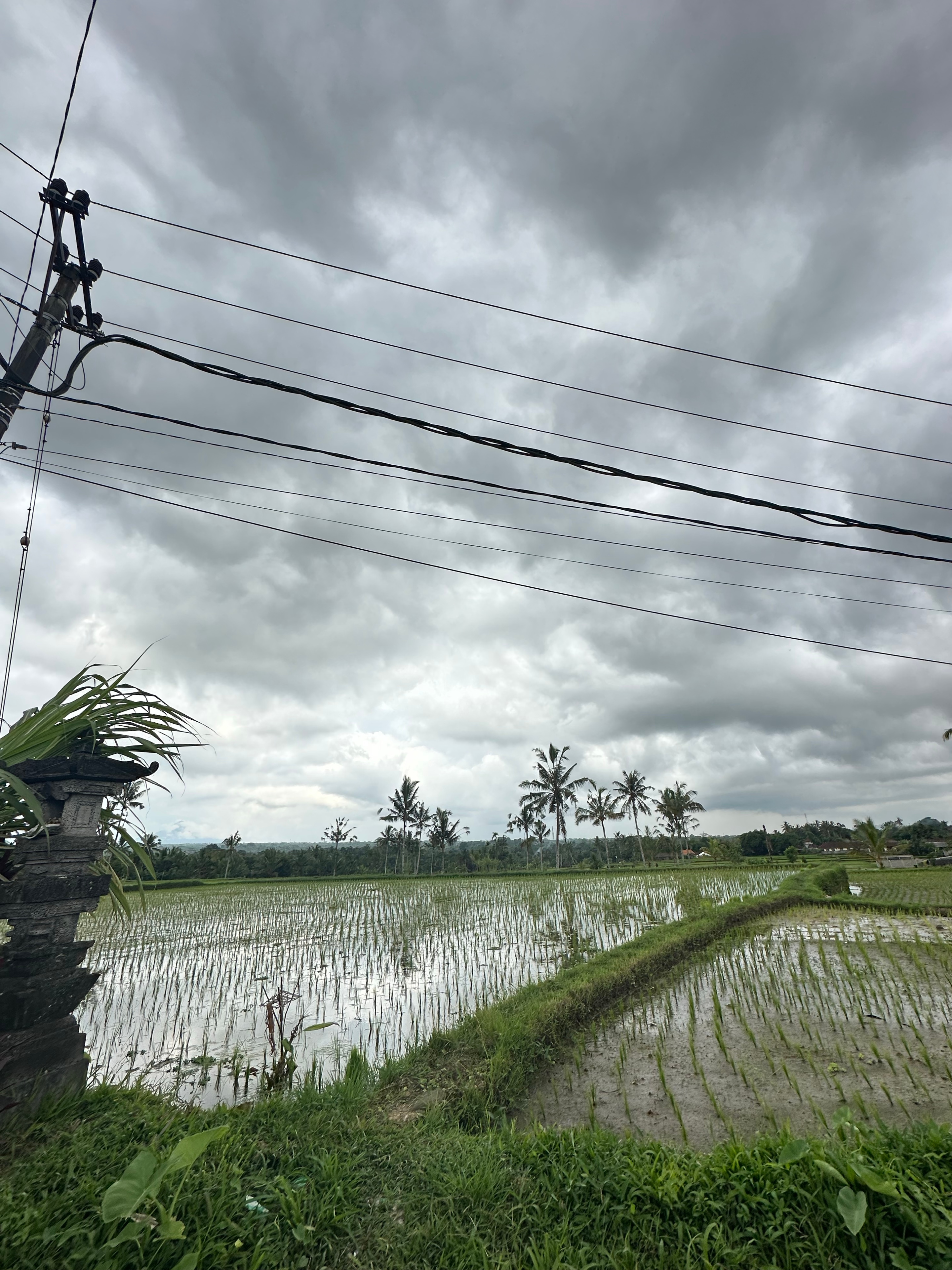 Place context - Penglipuran Village