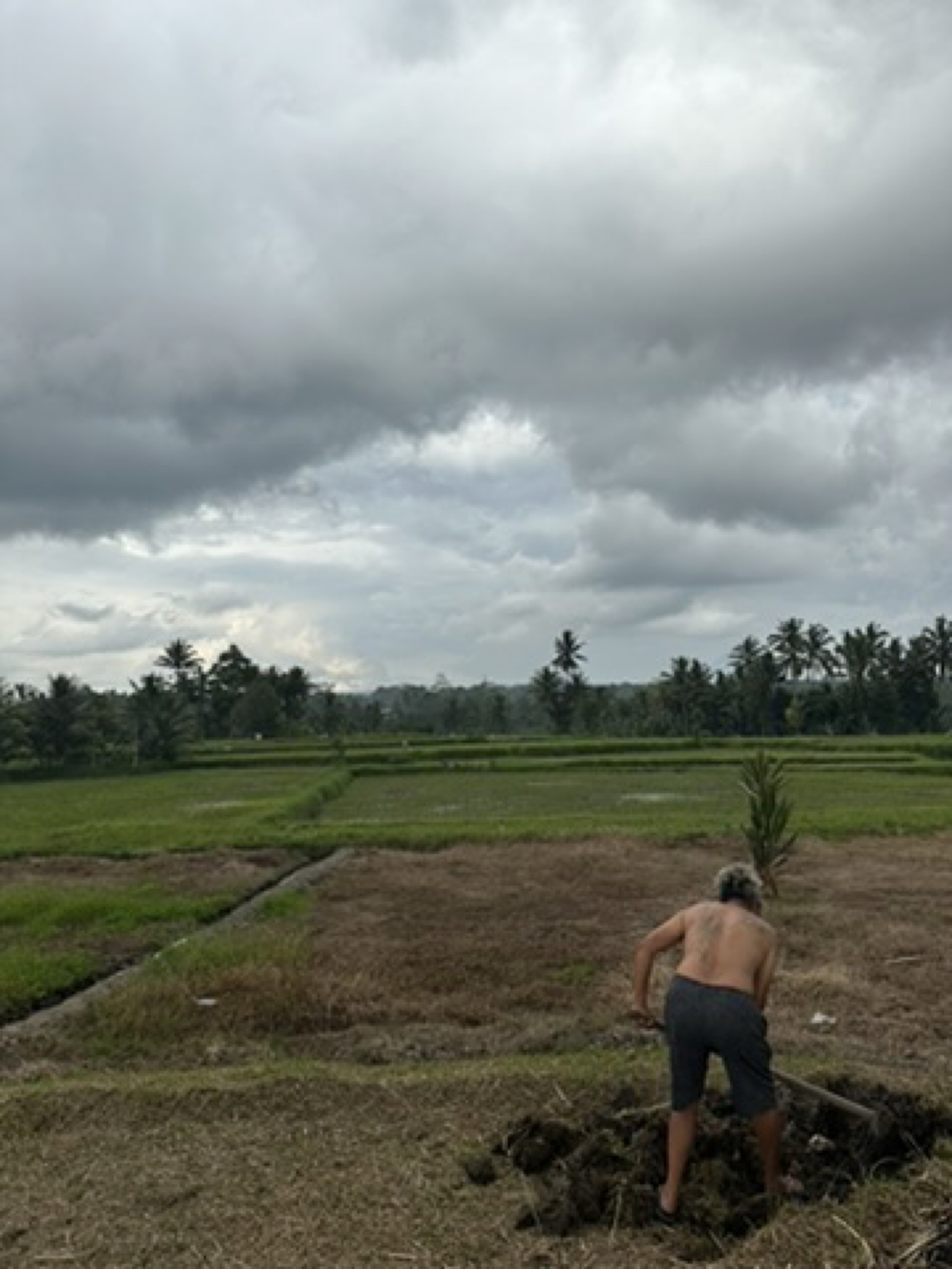 Subak Pulagan
