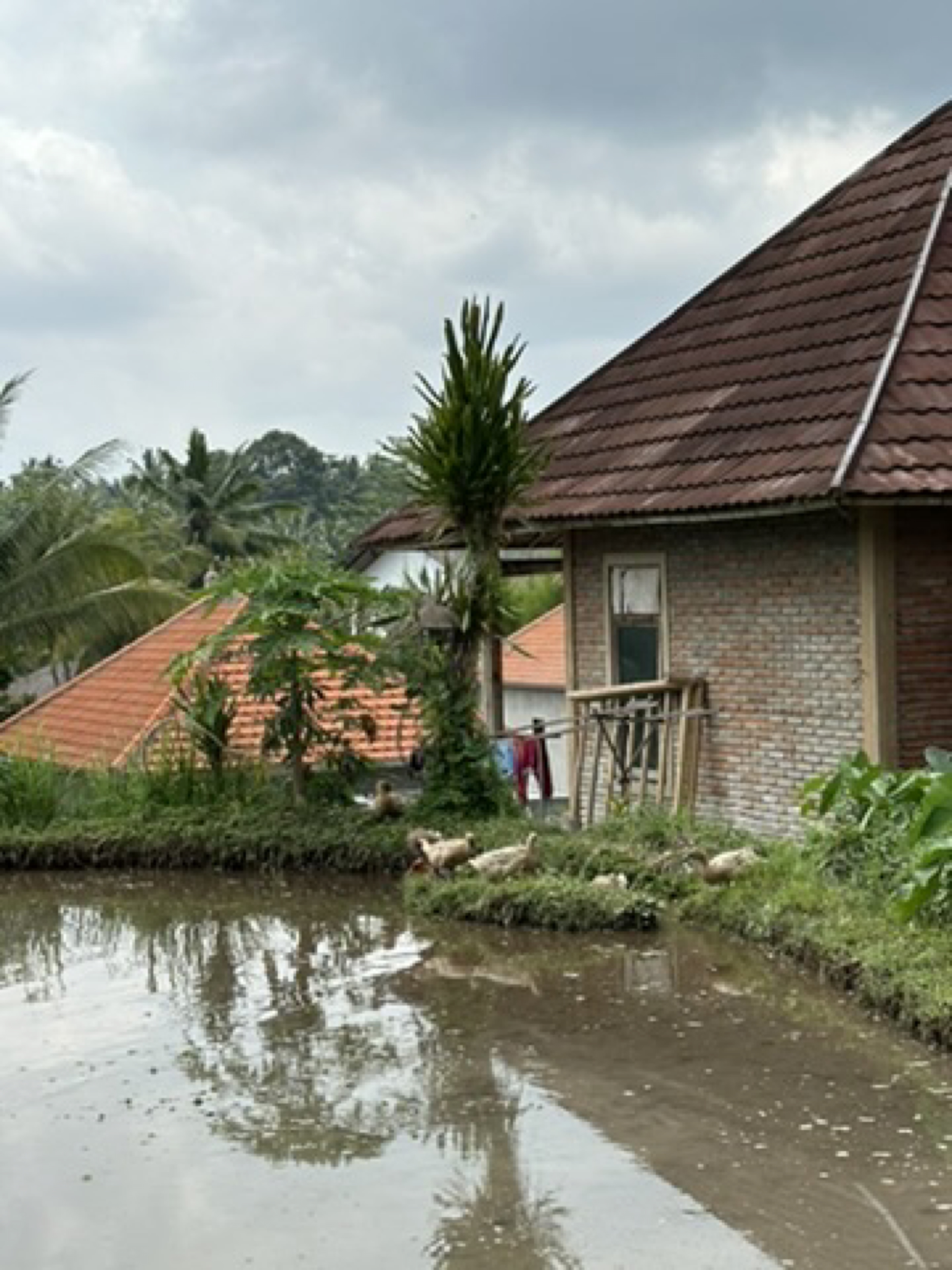 Ubud