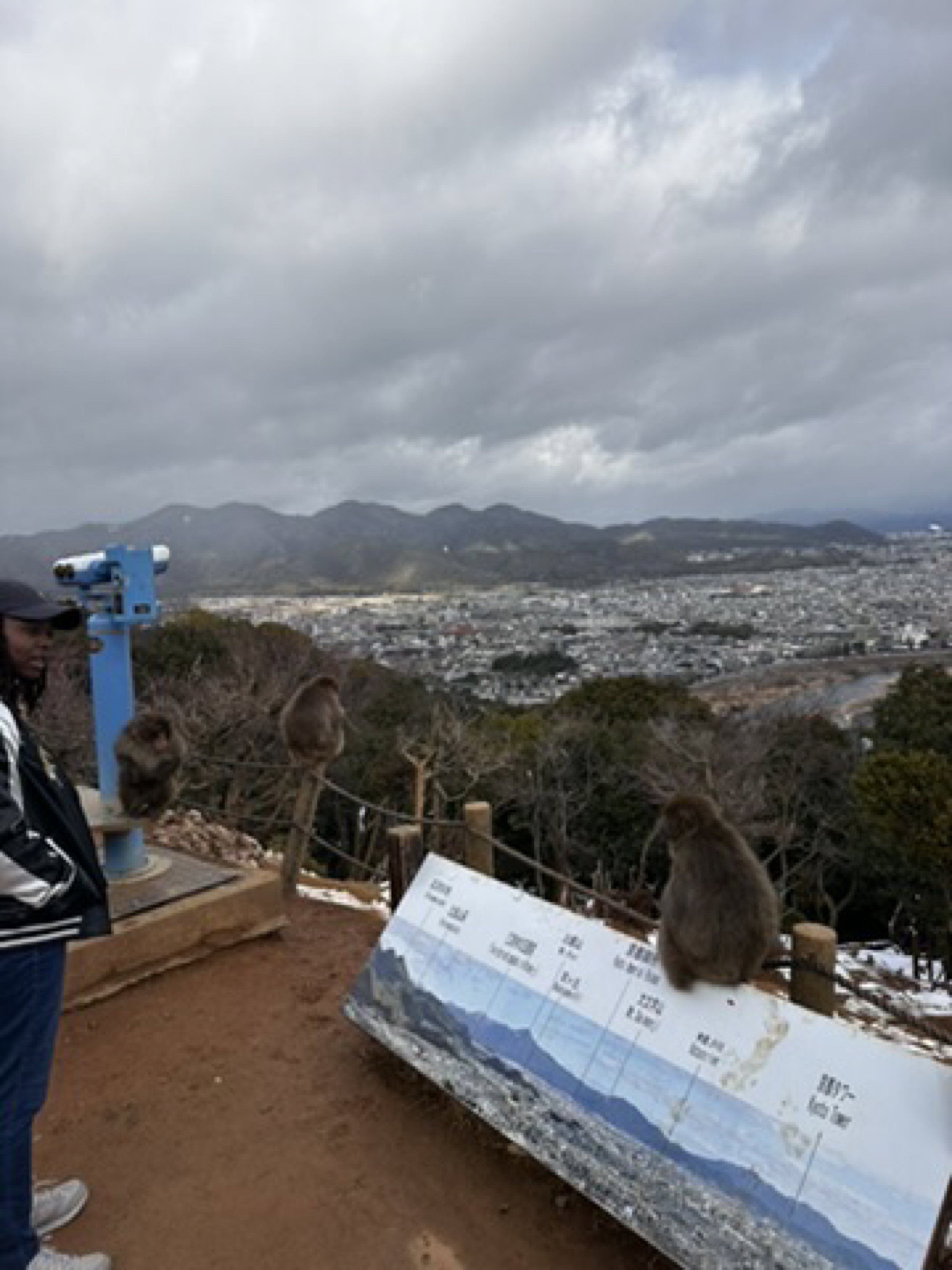 Arashiyama Monkey Park