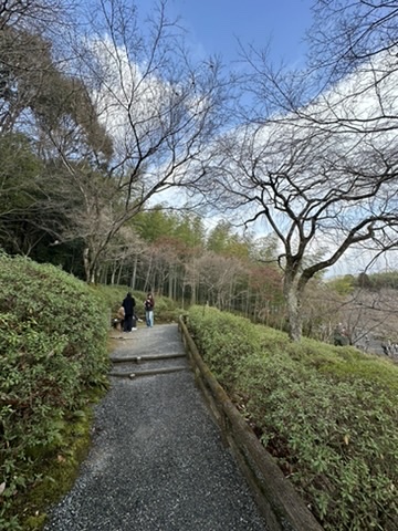 Arashiyama area